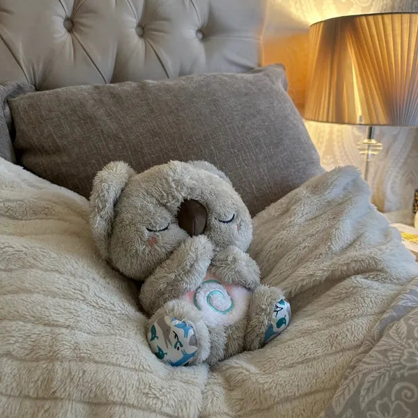 KomfyKoala