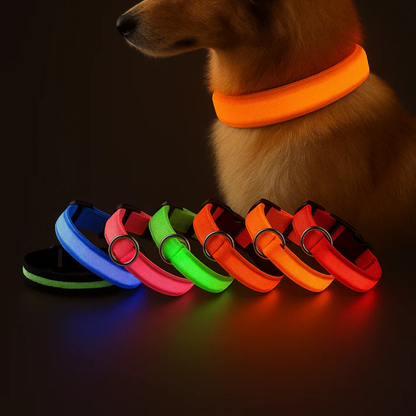 Brilcoe™ - LED Dog Collar