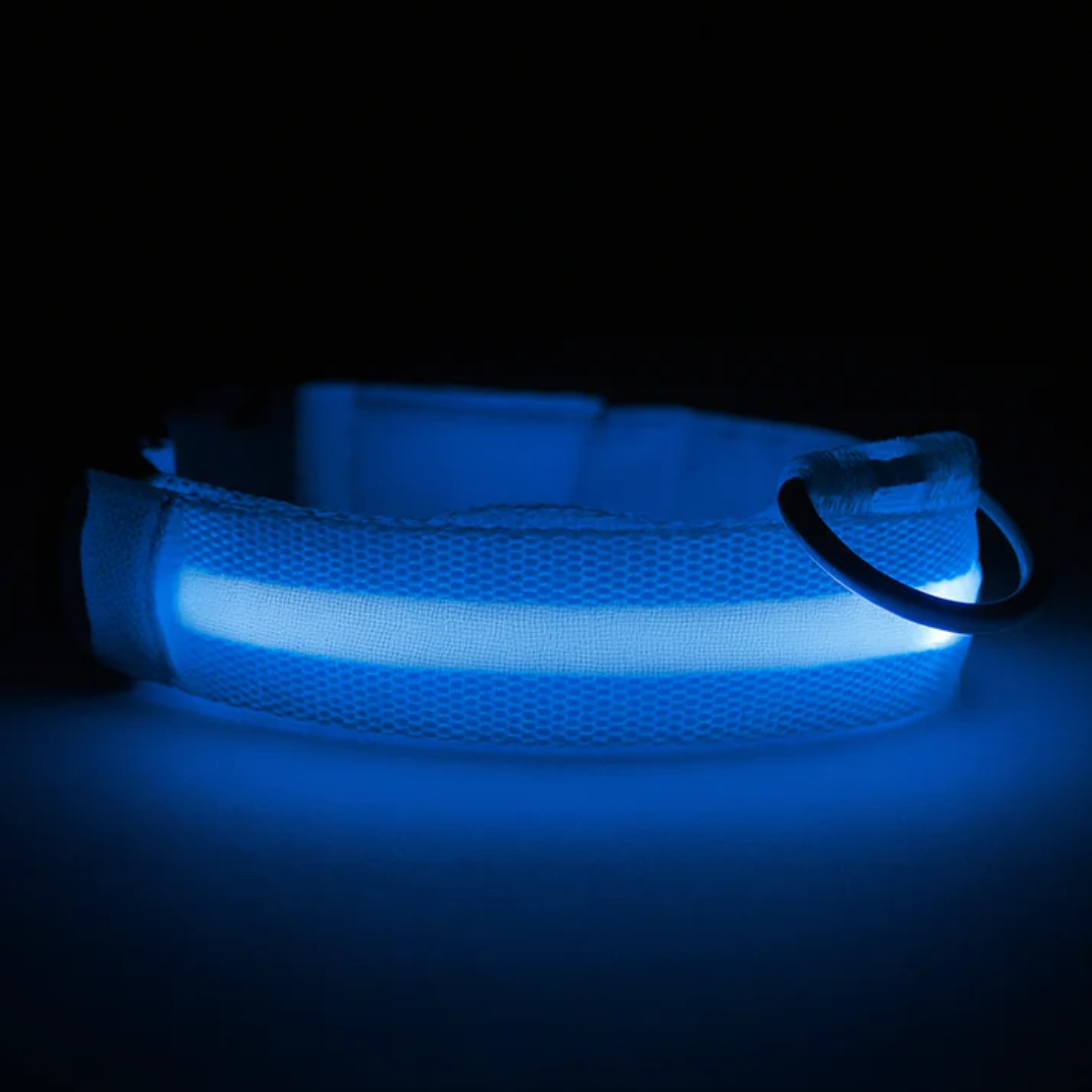 Brilcoe™ - LED Dog Collar