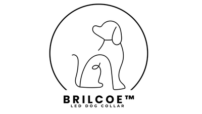 Brilcoe