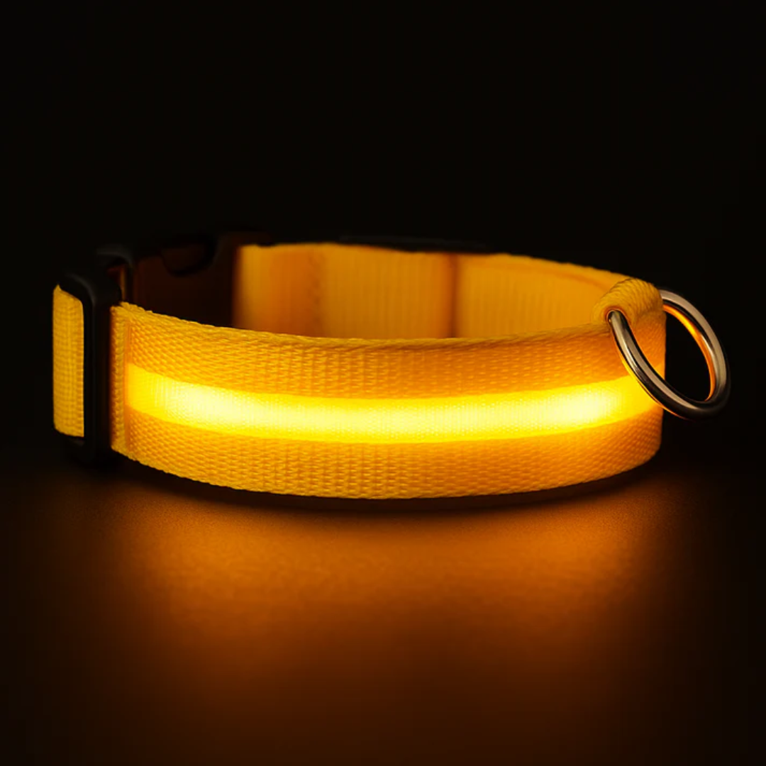 Brilcoe™ - LED Dog Collar
