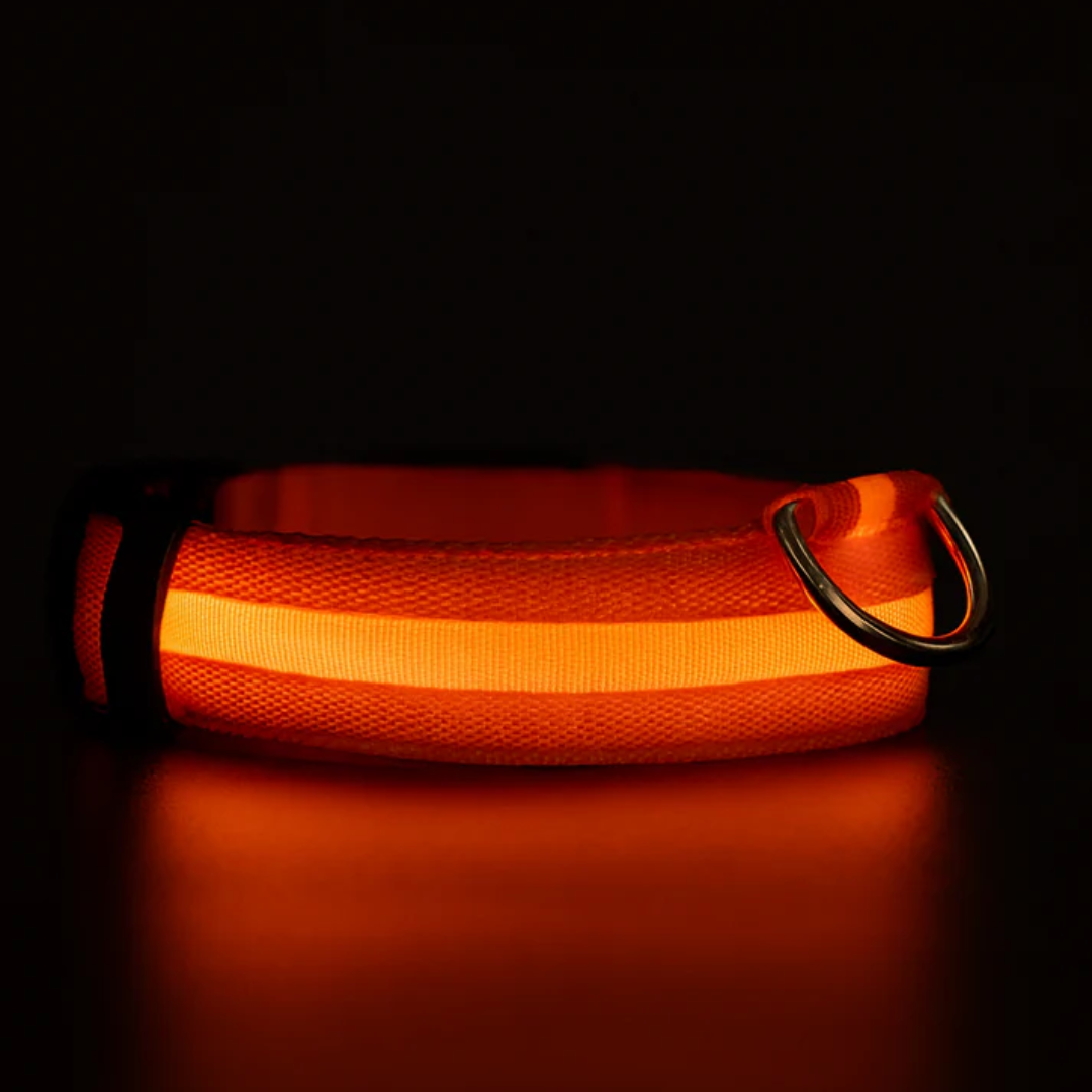 Brilcoe™ - LED Dog Collar