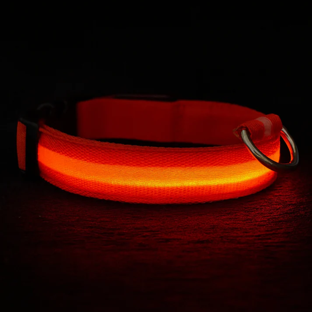 Brilcoe™ - LED Dog Collar