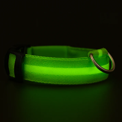 Brilcoe™ - LED Dog Collar